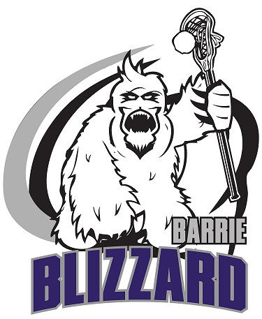 Barrie Blizzard 2013-Pres Primary Logo iron on transfers for clothing